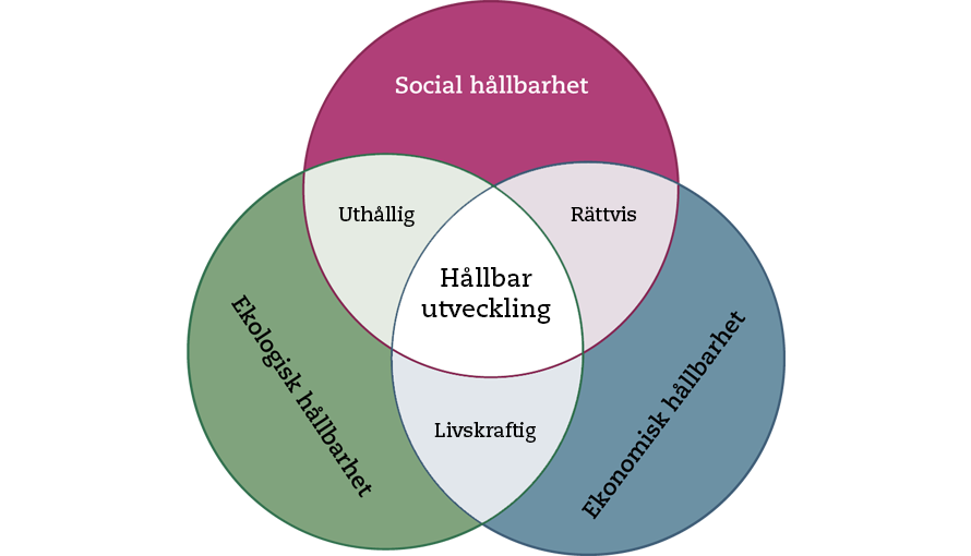 Hållbar utveckling: ekologisk, social och ekonomisk hållbarhet